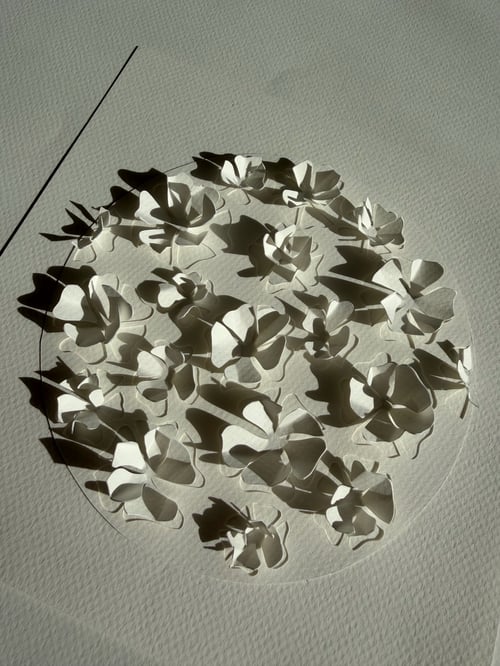 20x20cm, 3D papercut, hvid, indrammet 