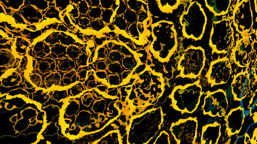 4K ABSTRACT SCREEN ART (81)
