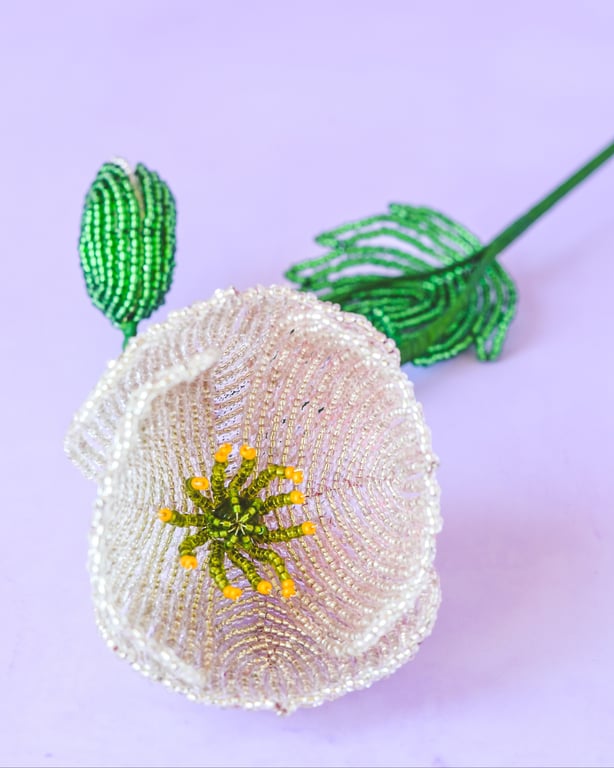 Islandsk valmue i perler – Blush billede 3