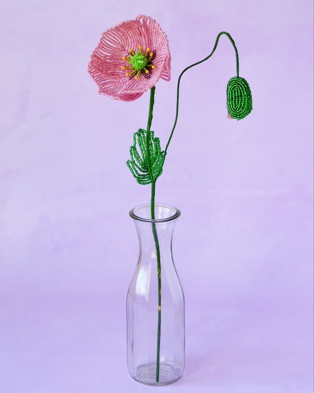    Islandsk valmue - Gammelrosa billede 3