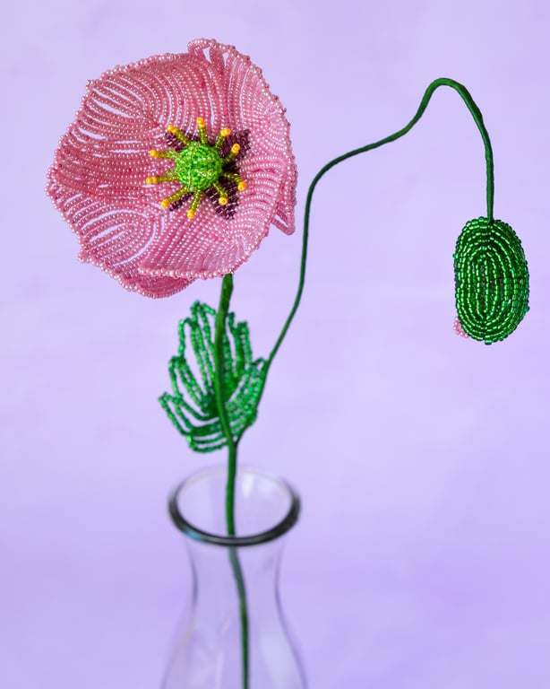    Islandsk valmue - Gammelrosa billede 5
