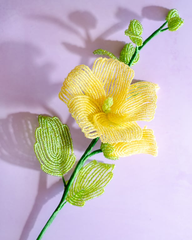 Stokrose - Gul