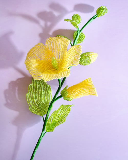Stokrose - Gul (3)