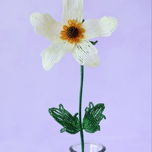 Anemone - Sart gul – produktbillede