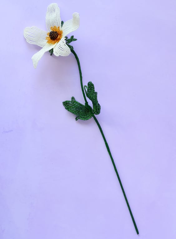 Anemone - Sart gul billede 4