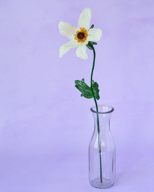 Anemone - Sart gul billede 6