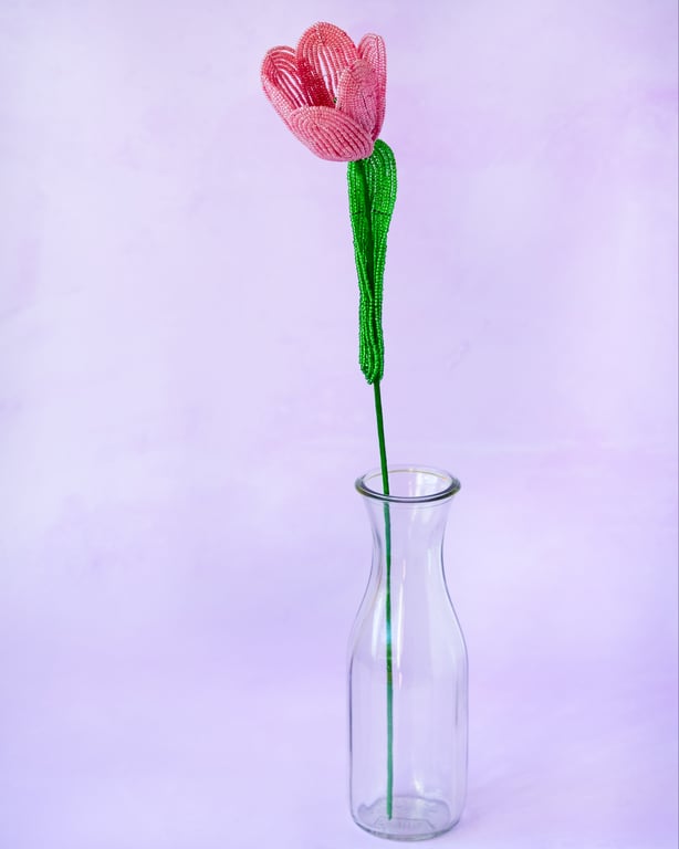 Stor tulipan  – Gammelrosa billede 3