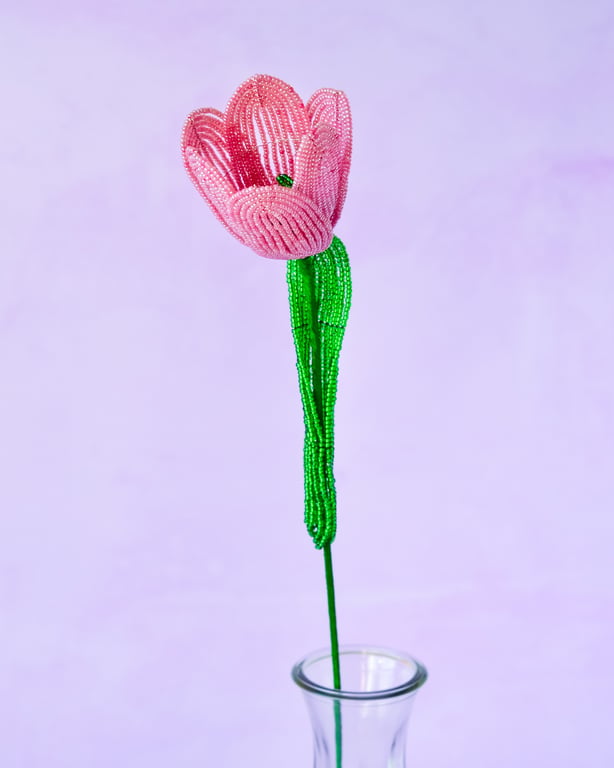 Stor tulipan  – Gammelrosa billede 5