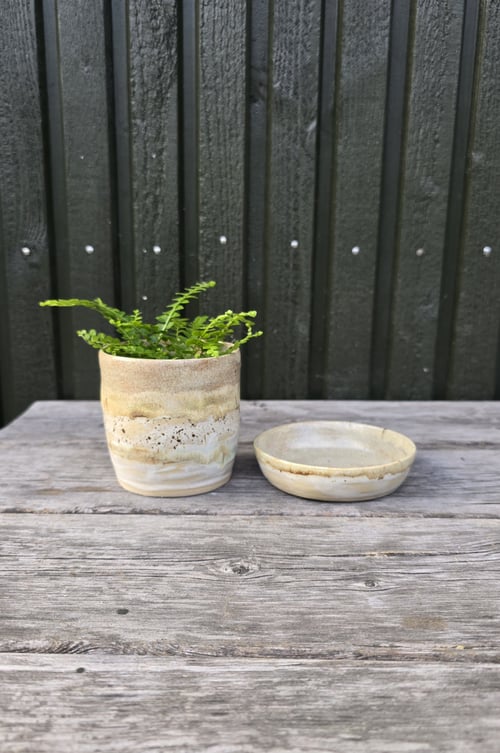 Mini-urtepotte - Horisont, sand (2)