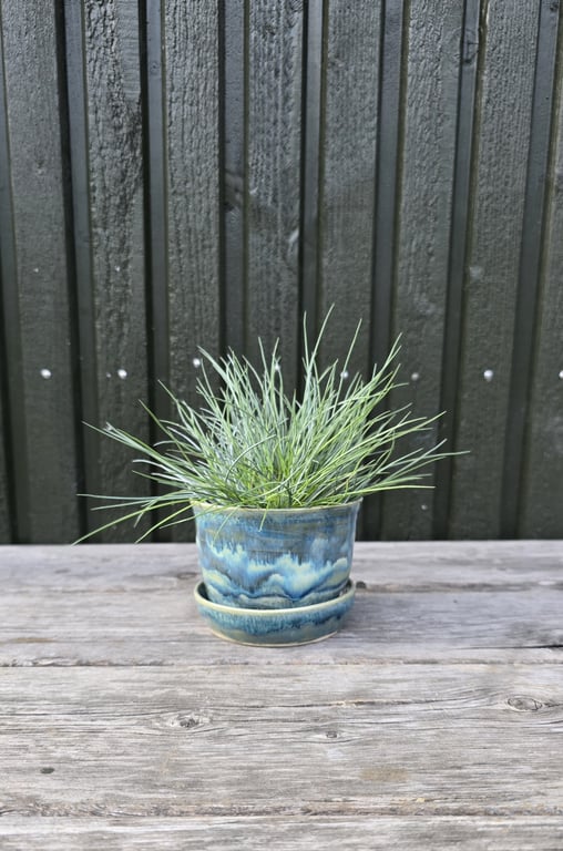 Mini-urtepotte