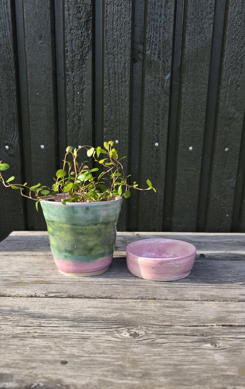 Mini-urtepotte, rosa og grøn billede 3
