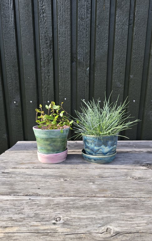 Mini-urtepotte, rosa og grøn billede 4