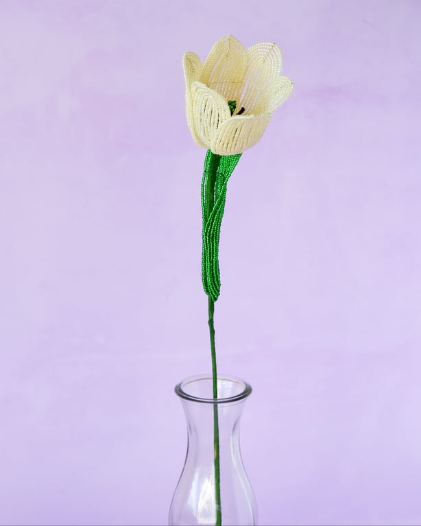 Stor tulipan  – Lysegul billede 6