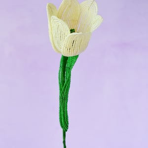 Stor tulipan  – Lysegul – produktbillede