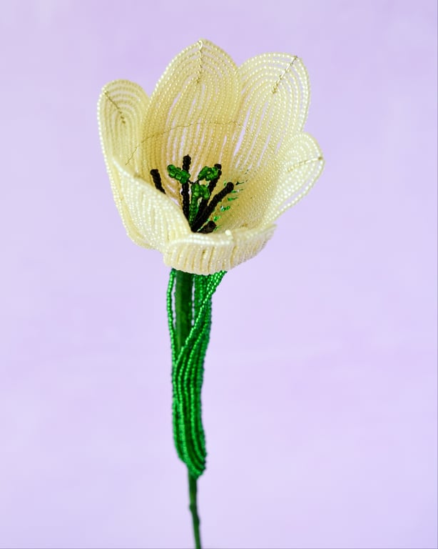 Stor tulipan  – Lysegul billede 3