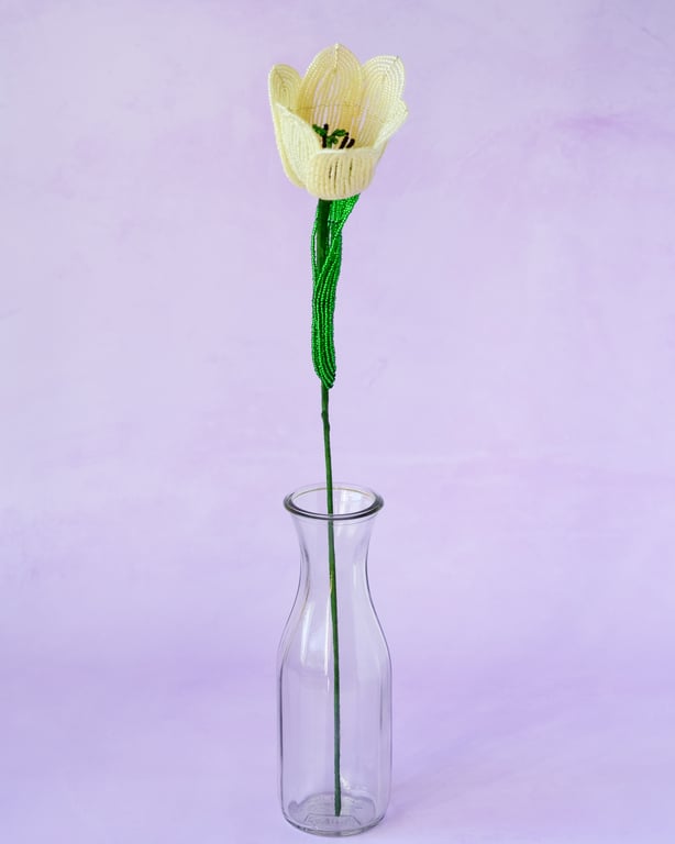 Stor tulipan  – Lysegul billede 4