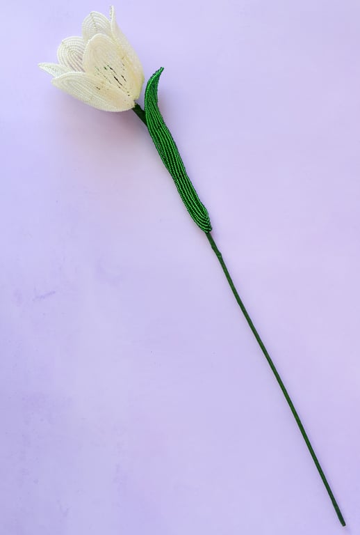 Stor tulipan  – Lysegul billede 7