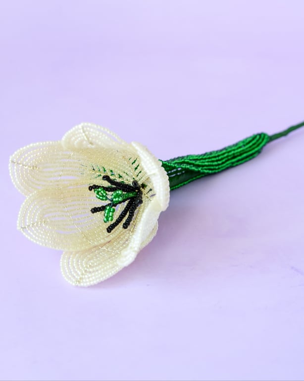 Stor tulipan  – Lysegul billede 2