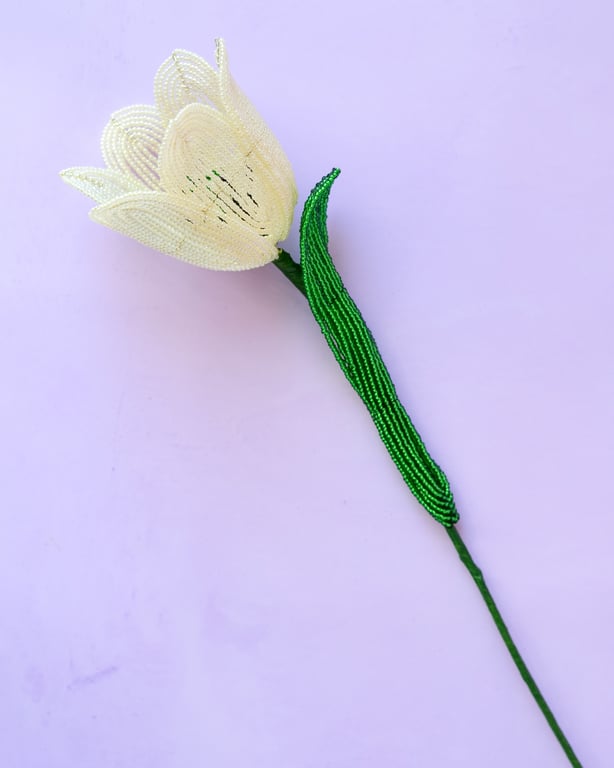 Stor tulipan  – Lysegul billede 5