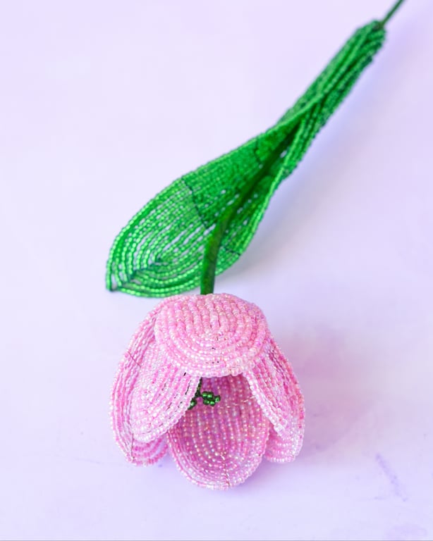 Tulipan  – Pink billede 2