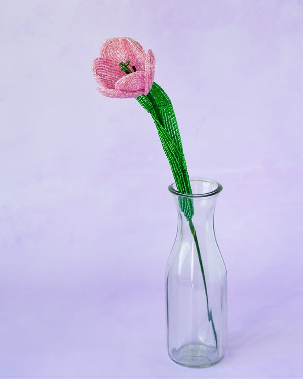 Tulipan  – Pink