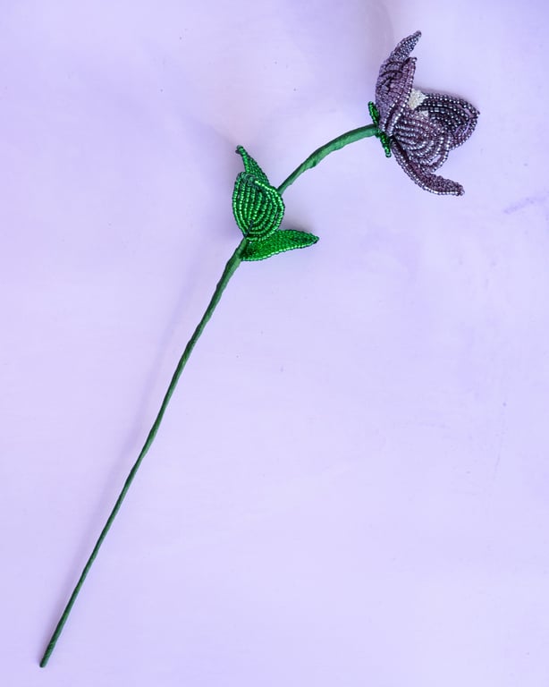 Stjerneblomst - Mørk lilla billede 3