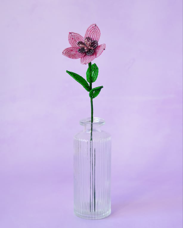 Stjerneblomst - Gammelrosa billede 3