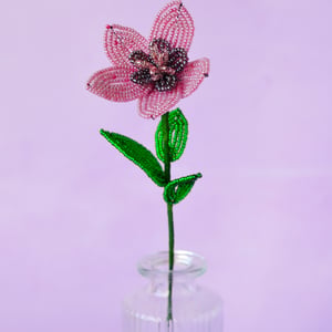 Stjerneblomst - Gammelrosa – produktbillede