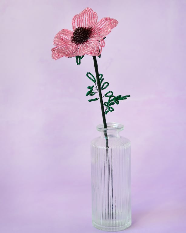 Anemone - Gammelrosa billede 3