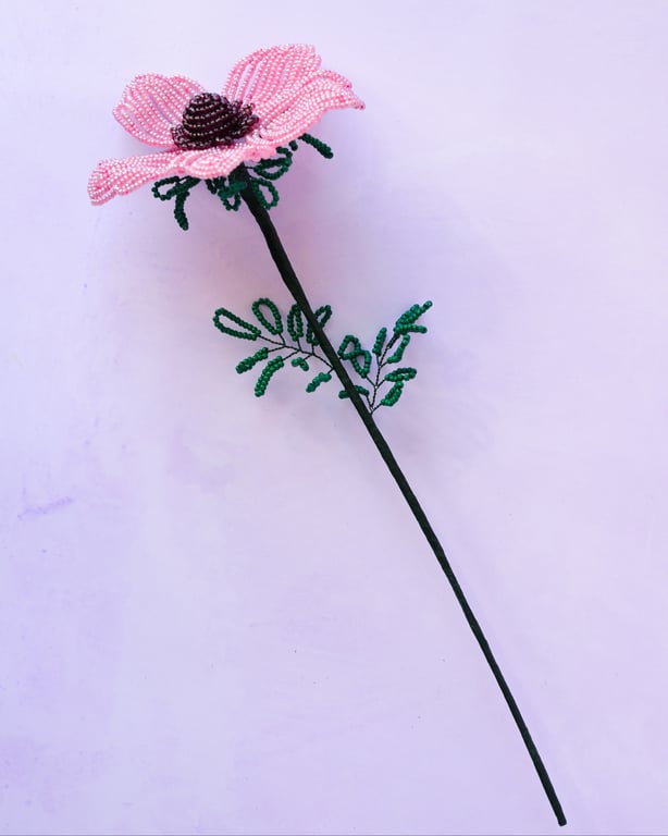Anemone - Gammelrosa billede 4