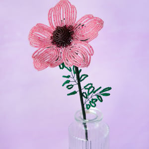 Anemone - Gammelrosa – produktbillede