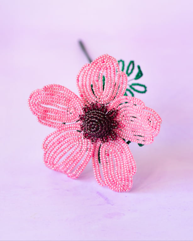 Anemone - Gammelrosa billede 2