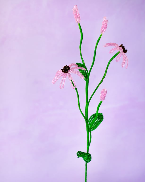 Solhat - Pink billede 11