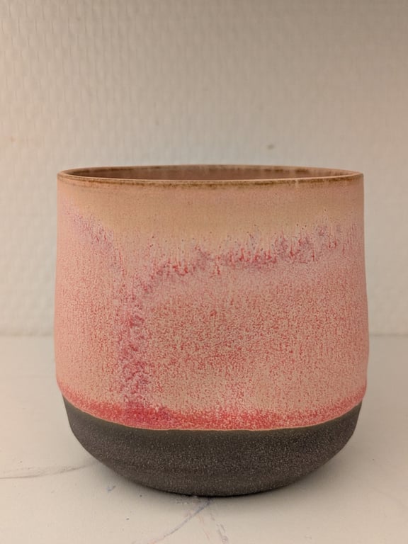 Dimpelcups lyserød