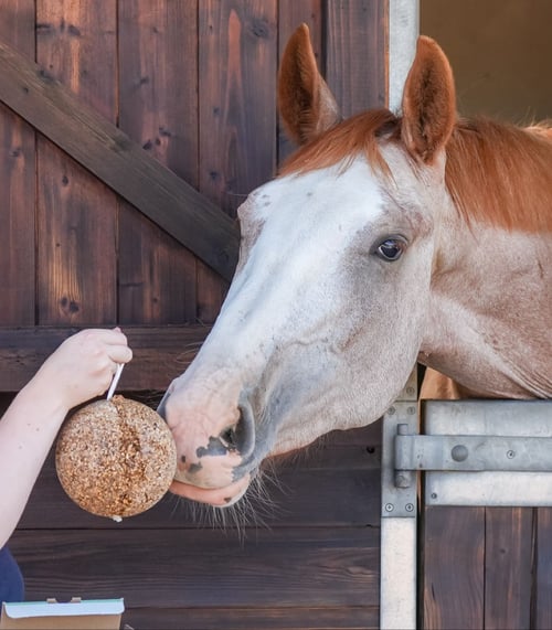 Likit/ Granolo Stall Ball. Low Sugar. 1,6kg (5)