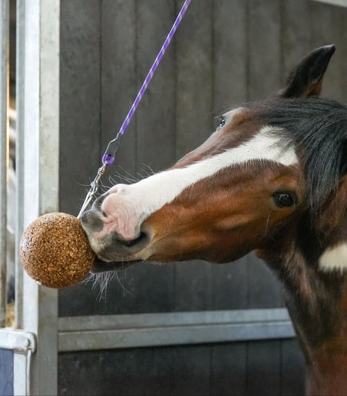 Likit/ Granolo Stall Ball. Low Sugar. 1,6kg (4)