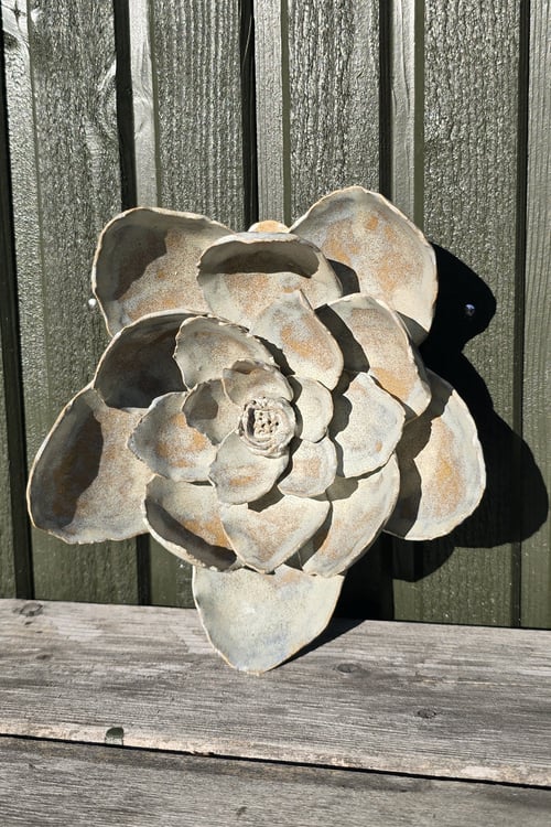 Vægblomst (3)