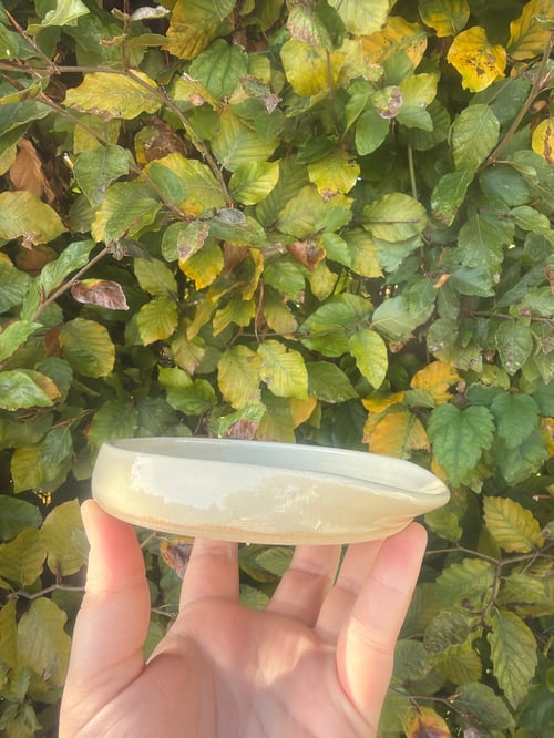 spoonrest  (2)