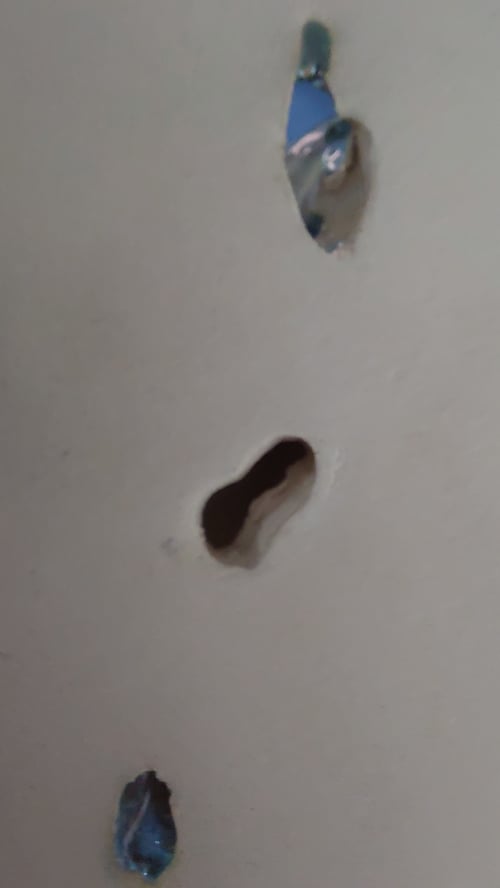 påfugl, væghængt  (9)