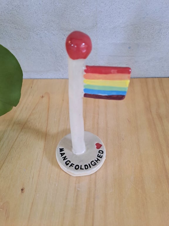 Mangfoldighed-Flaget er 14 cm høj billede 3
