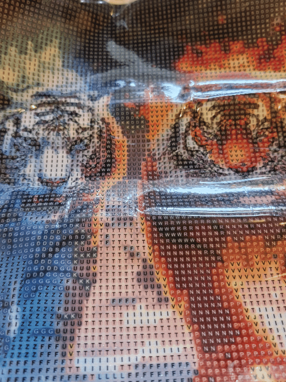 2 tiger og det er 30×30 