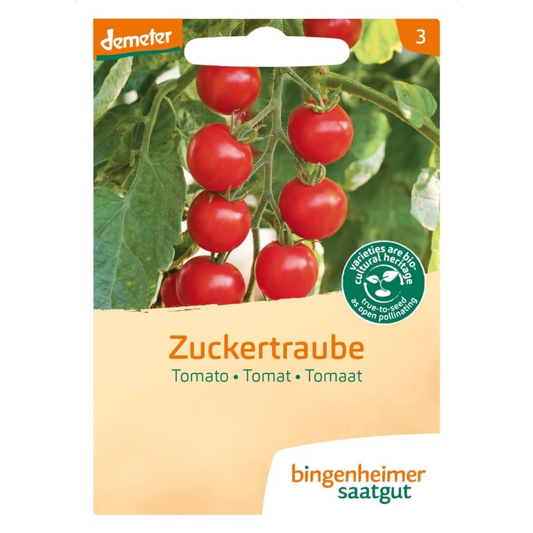 Frøpakke med billede af modne røde cherrytomater på stilk, mærket "Zuckertraube" fra Bingenheimer Saatgut.