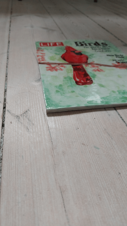 Birds  billede 2
