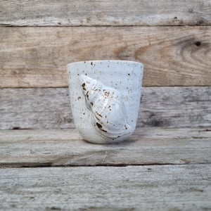 Konkylie kop – produktbillede