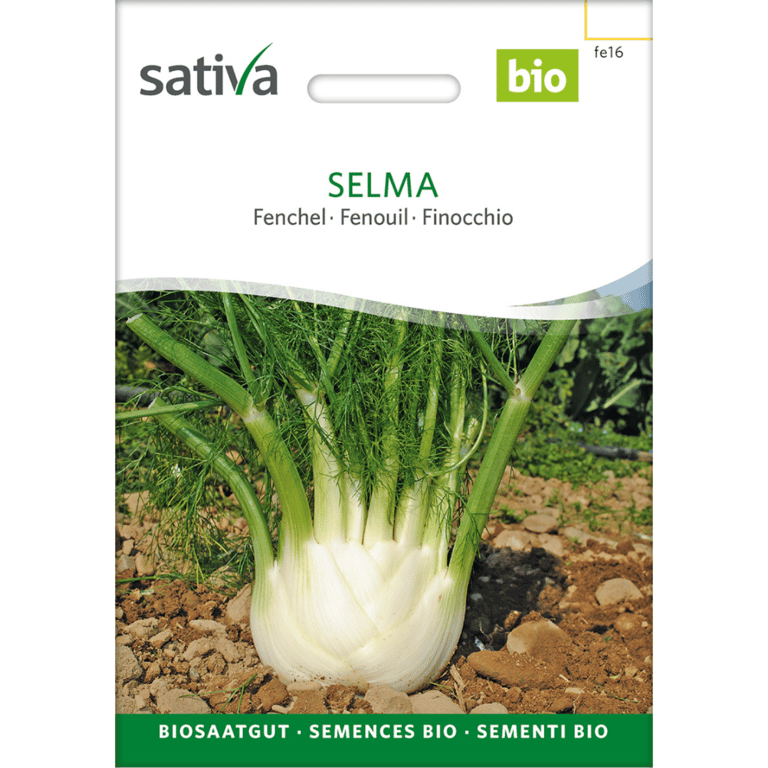 Frøpakke til økologisk fennikel sort Selma fra Sativa med billede af frisk fennikelplante i jord.