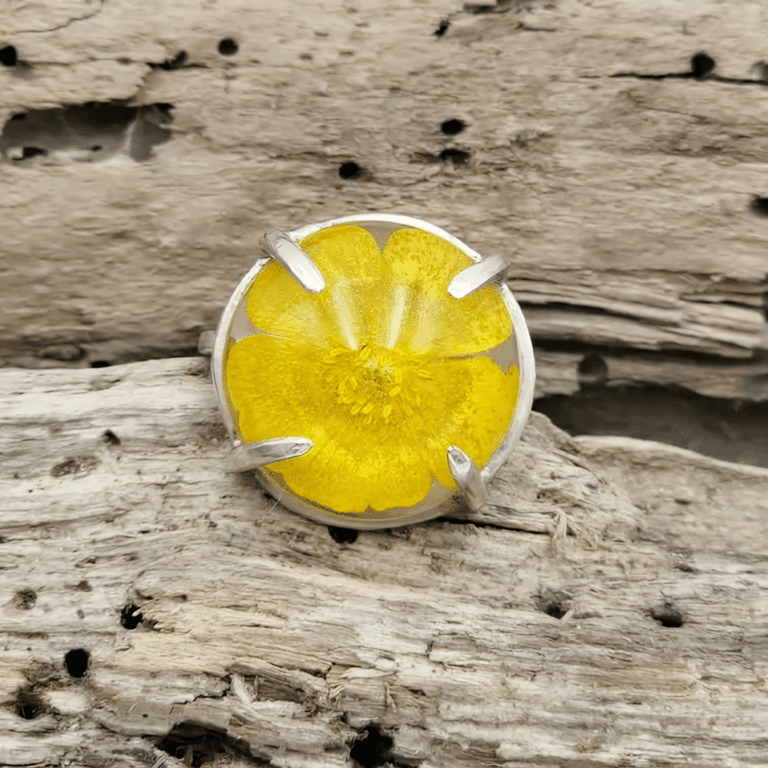 Smørblomst ring. billede 2