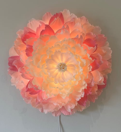 Lampe formet som en stor, oplyst blomst med lag af lyserøde og hvide blomsterblade, hængende på en grå væg. (1)
