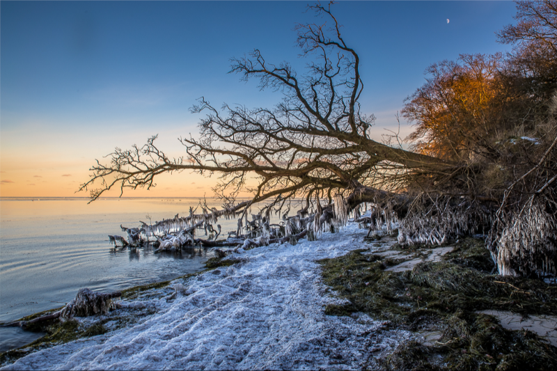 En smuk kold vinterdag ved Roneklint