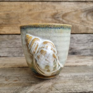 Konkylie kop – produktbillede