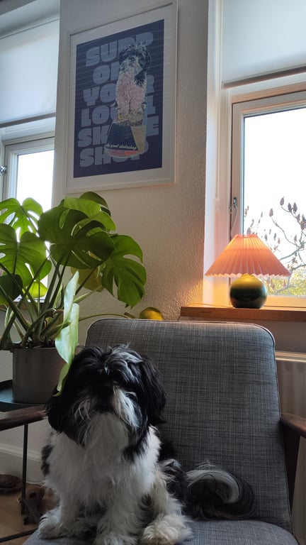 do you! x Oli, Support Your Local Skateshop, Poster (3)